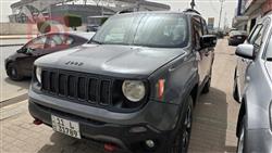 جيب رينيجيد